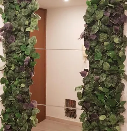 Trastevere House Апартаменты *